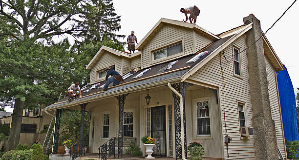 Best Roof Maintenance Services  in Baileys Crossroads, VA